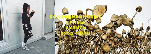 мяу мяу мука Верхнеуральск