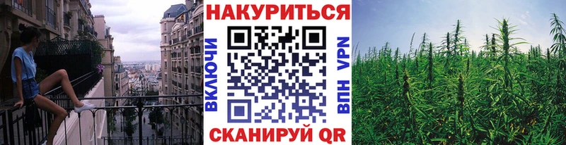 Шишки марихуана гибрид  даркнет сайт  Перевоз 